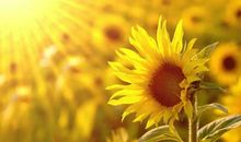 拥有生命是最幸福的