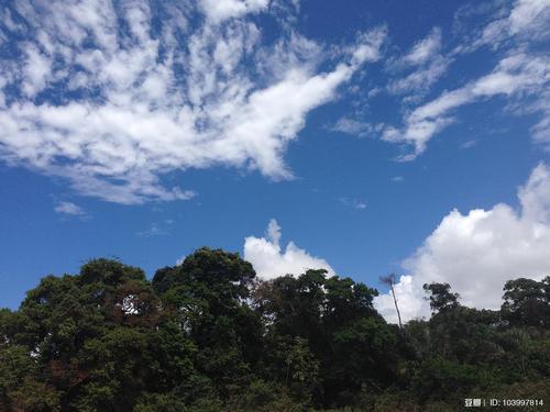 墨水绿色天空