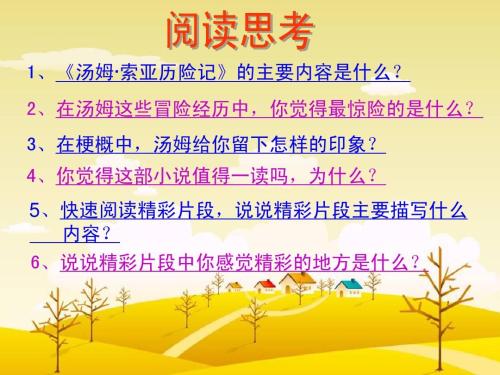 Tom Soia冒险故事Sype