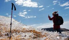 那份平淡的喜悦