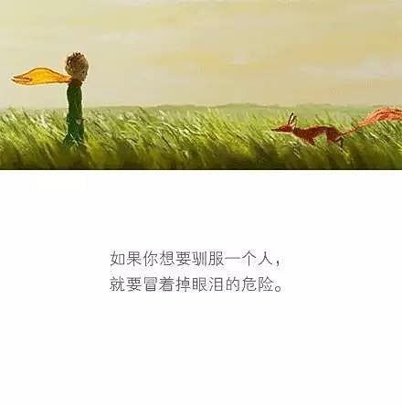 小王子，我想告诉你。