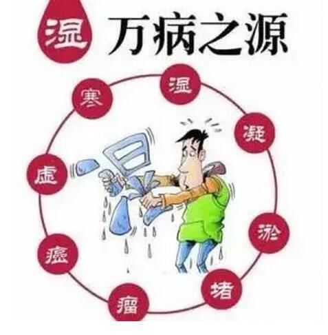 分享