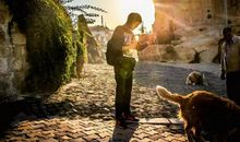 共享，添得那抹熟悉