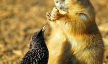 追寻先贤的足迹