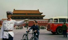 跟在身后的温暖