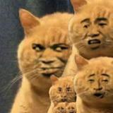 尊严的脚