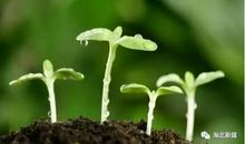 生命因希望而精彩