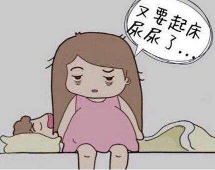 哦！我的共享生活