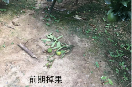 我们有预防脖子和肩膀疾病的技巧