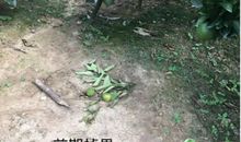 预防颈肩病，我们有绝招