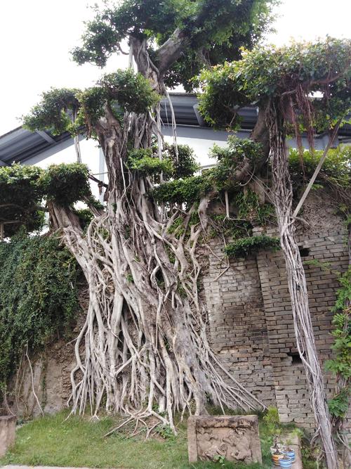 四个季节