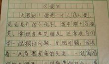 我的好朋友作文二年级200字