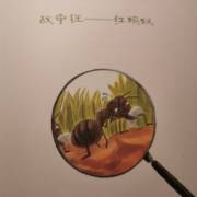 红蚂蚁战争