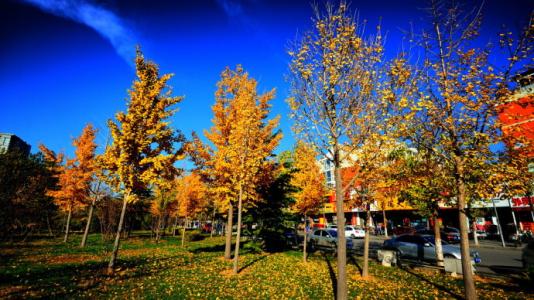 秋天最美丽的声音