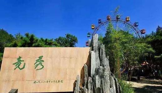 名称的名称