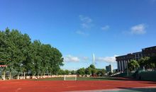 校园里的一片绚丽