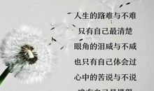 成功只能靠自己