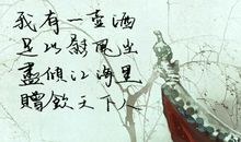 我过了一把酒隐