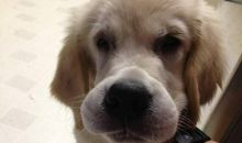 你的笑容我的愧疚