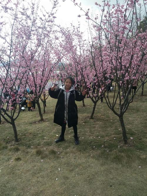 在美丽的春天