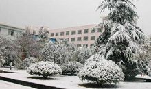 校门口的交响乐作文300字