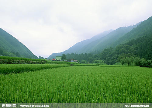 乡村的领域