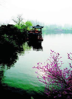 风景很旧