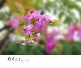 后雨