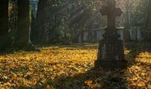 换一种眼光看世界