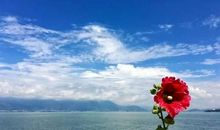 怀念也是成功的一步