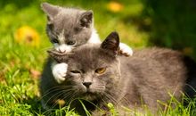 我不后悔的那件事