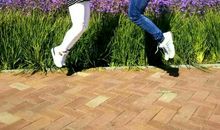 此处伊人是风景