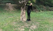 与树一起走过的日子