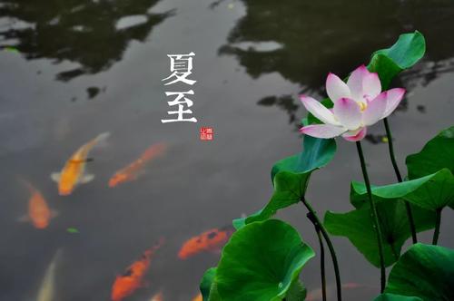 有一个美丽的名字