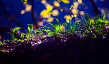 你扣动了了我的心弦