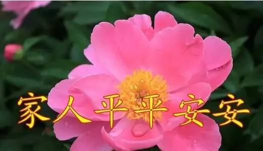 今天，你开心吗？