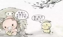 面对花开我流泪了