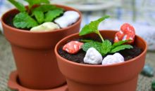 那一次深刻的尝试