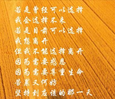 谢谢你坚持
