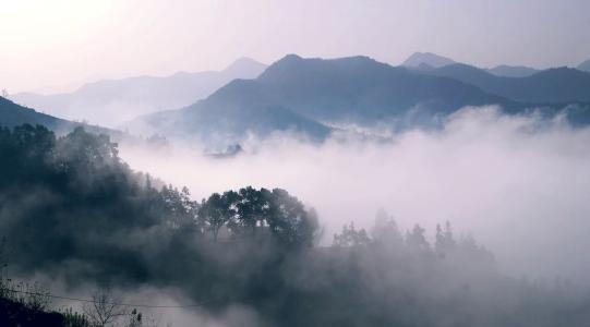 中间场景
