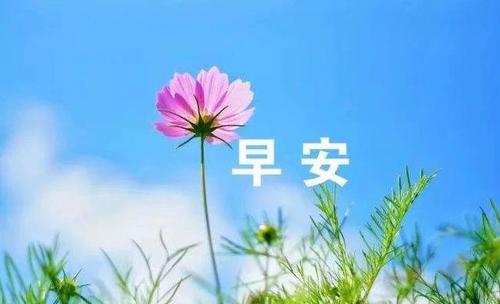 谁是我生命中的阳光？