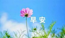 谁是我生命的阳光