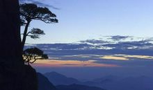 母爱是一道美丽的风景