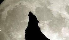 人生须耐得住孤独