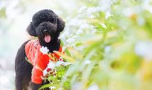 这件事让我很气愤