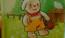 我的乐园作文400字爷爷的菜园