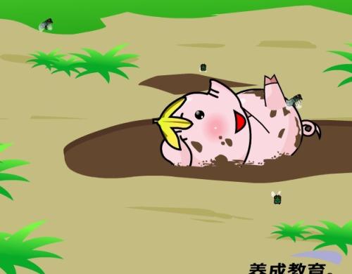 他的故事