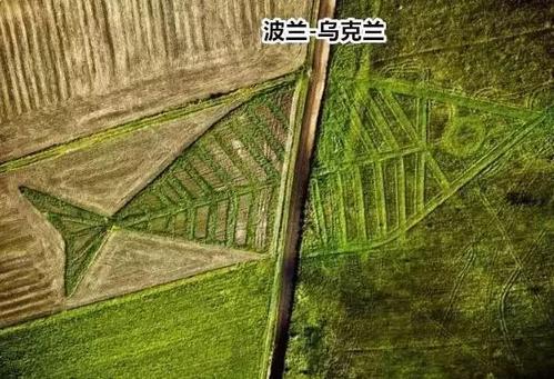 买餐