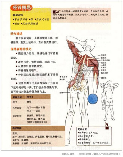 兴趣是成功的关键