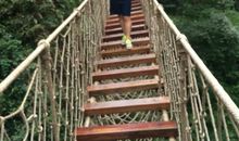 与眼泪一起走过的日子